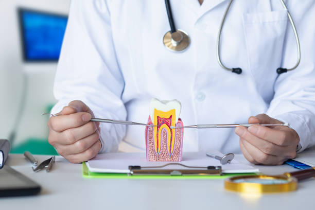 Best Emergency Gum Pain Relief  in Frederickson, WA